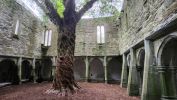 PICTURES/Killarney National Park - Torc Falls & Muckross Abbey/t_20250926_163618.jpg